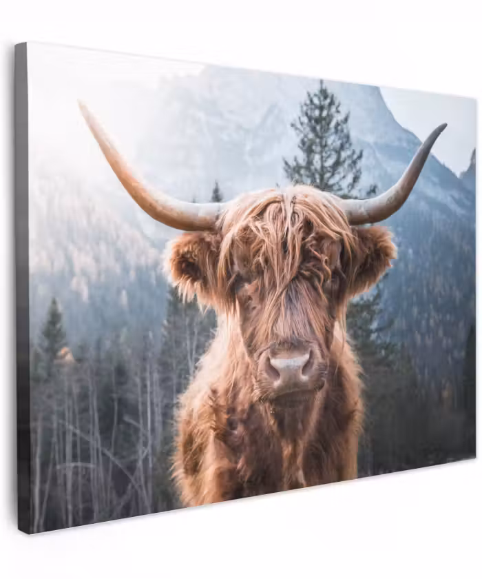 Canvas schilderij - Schotse hooglander - Koe - Dieren - Berg - Natuur