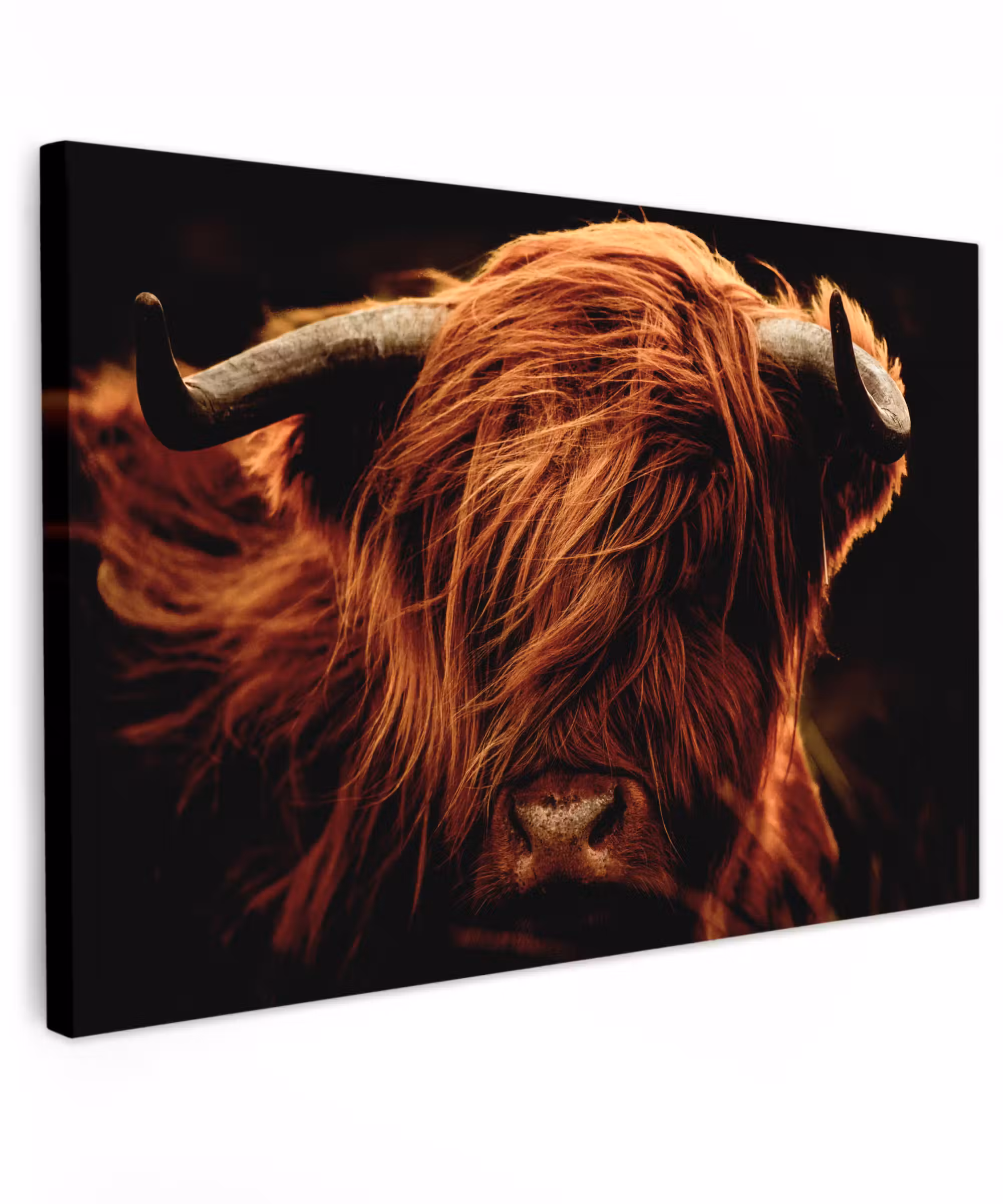 Canvas schilderij - Schotse hooglander - Koe - Hoorns - Portret - Dieren