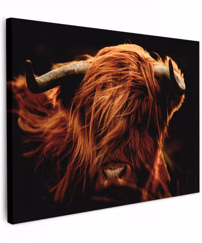 Canvas schilderij - Schotse hooglander - Koe - Hoorns - Portret - Dieren