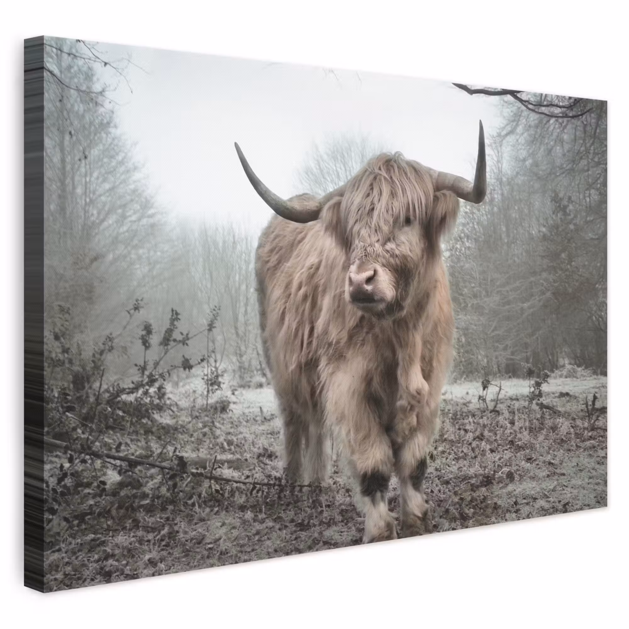 Canvas schilderij - Schotse hooglander - Natuur - Herfst - Dieren - Wild - Bos