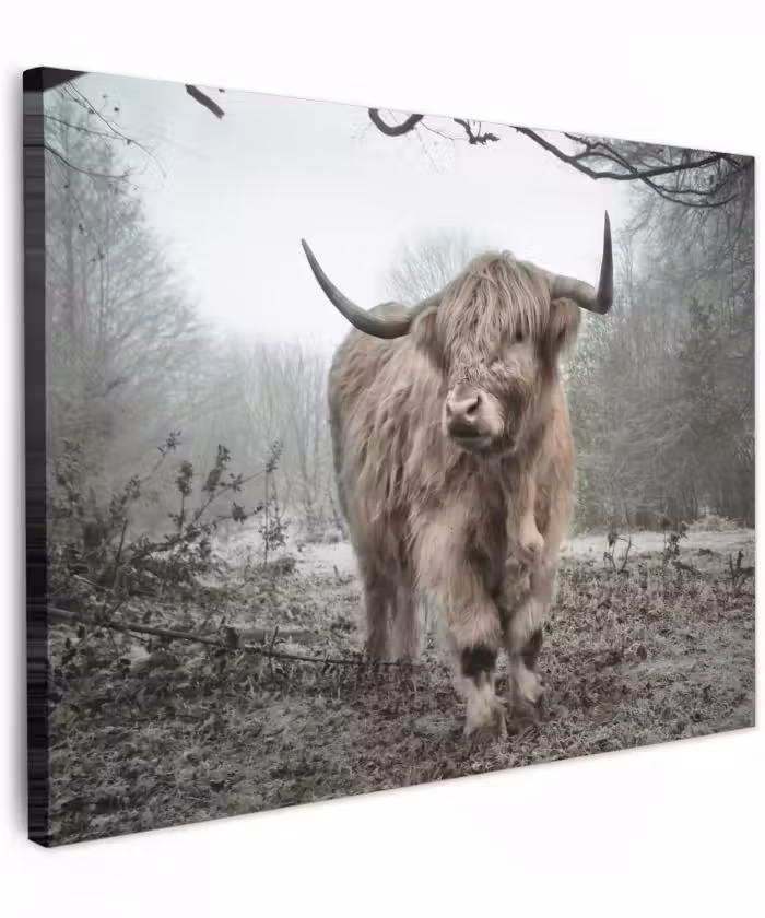 Canvas schilderij - Schotse hooglander - Natuur - Herfst - Dieren - Wild - Bos