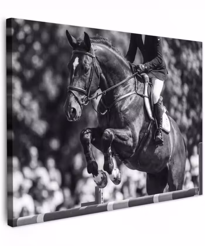 Canvas schilderij - Springen - Paard - Zwart - Wit