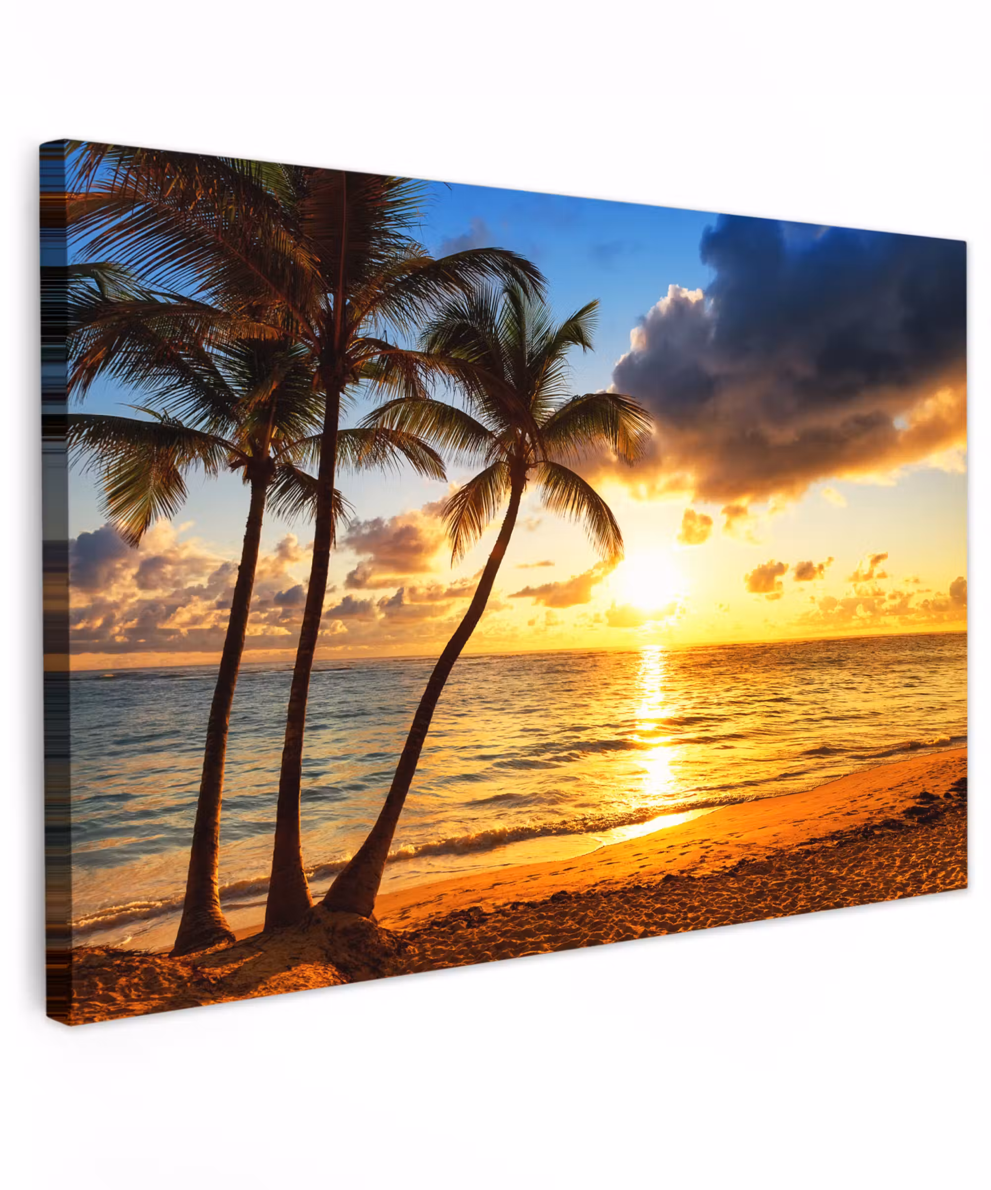 Canvas schilderij - Strand - Horizon - Zonsondergang - Palmboom - Zee