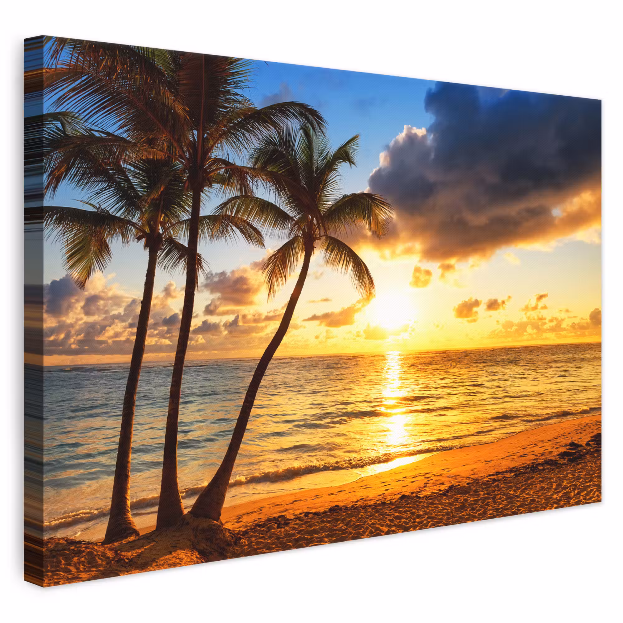 Canvas schilderij - Strand - Horizon - Zonsondergang - Palmboom - Zee