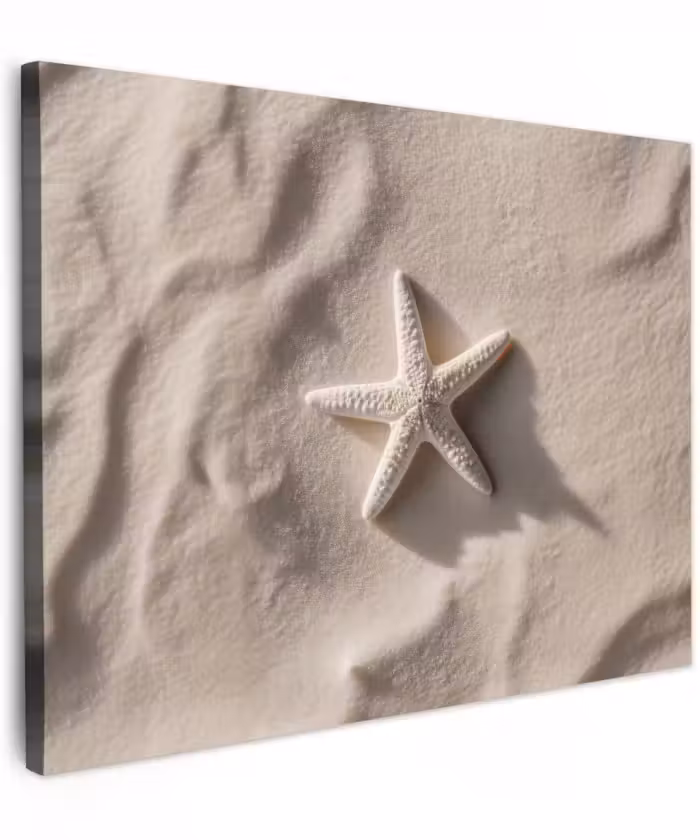 Canvas schilderij - Strand - Zeester - Zand - Beige