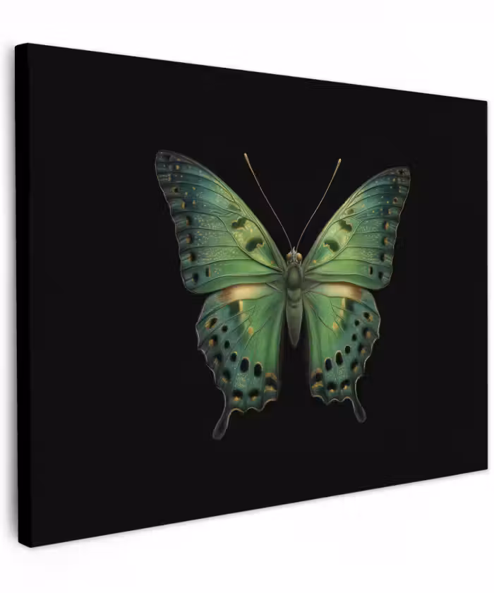 Canvas schilderij - Vlinder - Groen - Diepte