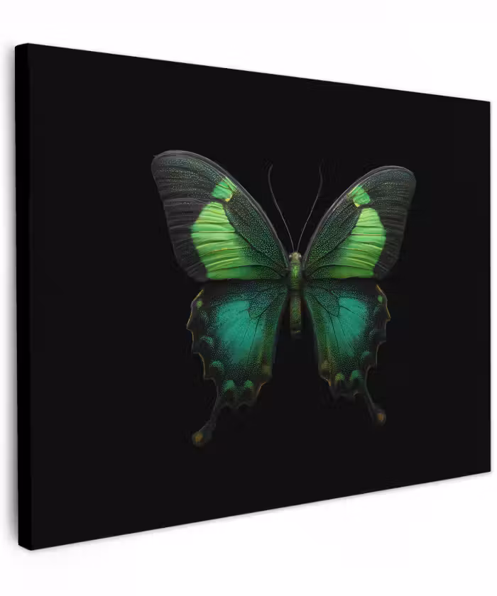 Canvas schilderij - Vlinder - Groen - Opvallend
