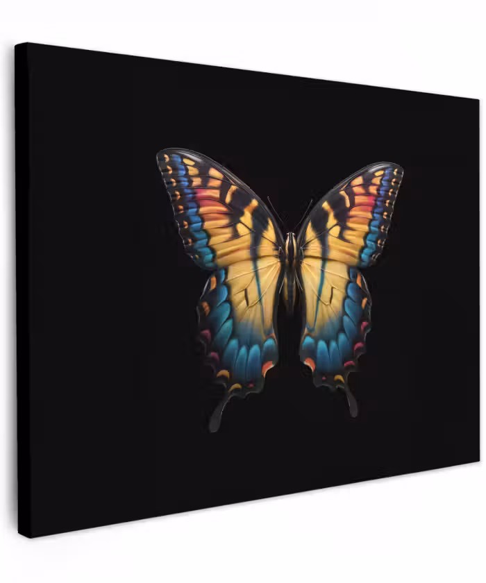 Canvas schilderij - Vlinder - Kleurrijk - Speels