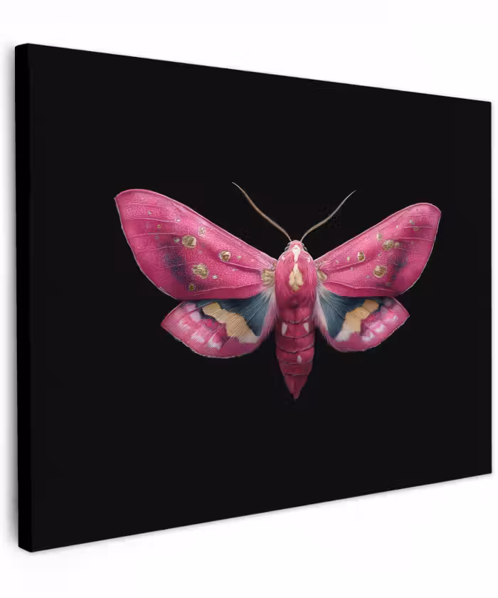 Canvas schilderij - Vlinder - Roze - Nachtvlinder