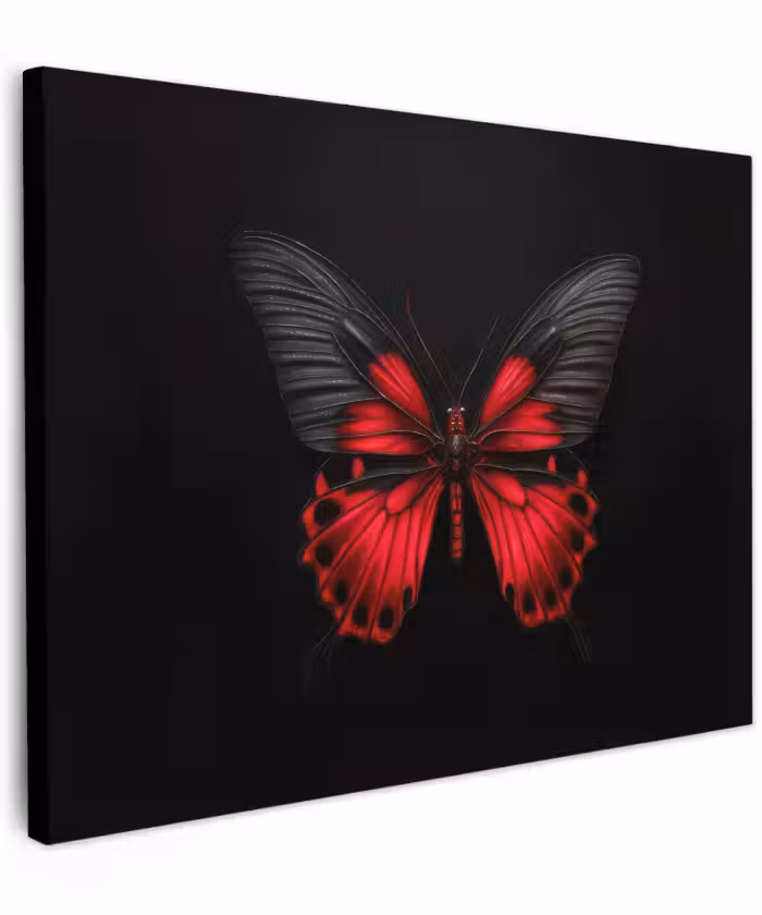 Canvas schilderij - Vlinder - Rood - Contrast
