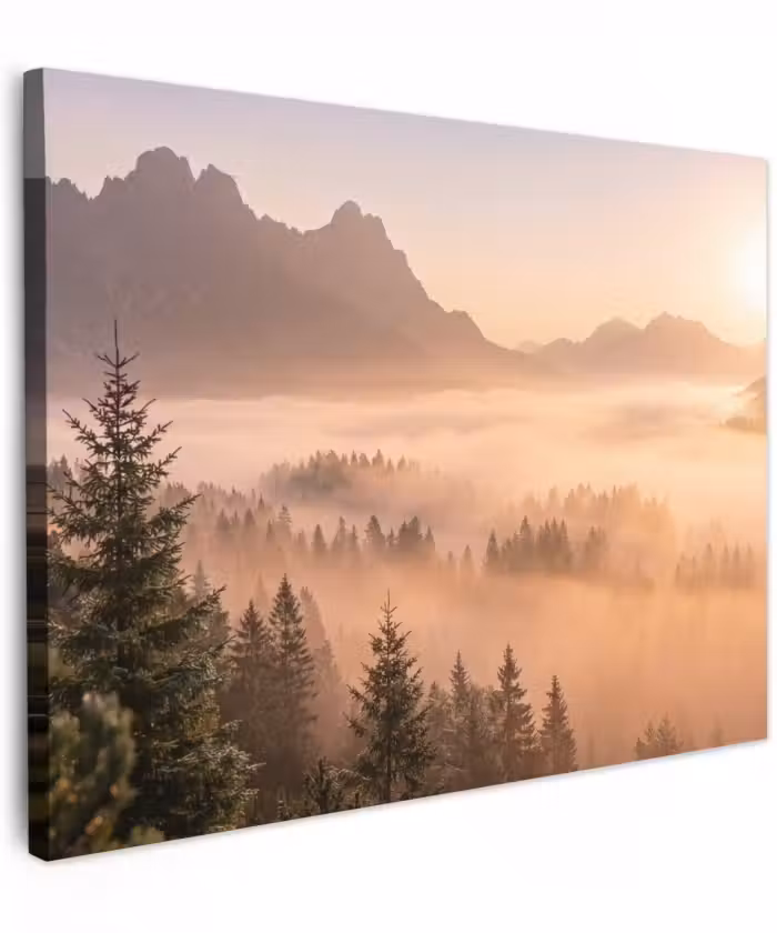 Canvas schilderij - Zonlicht - Mist - Bergen - Bomen
