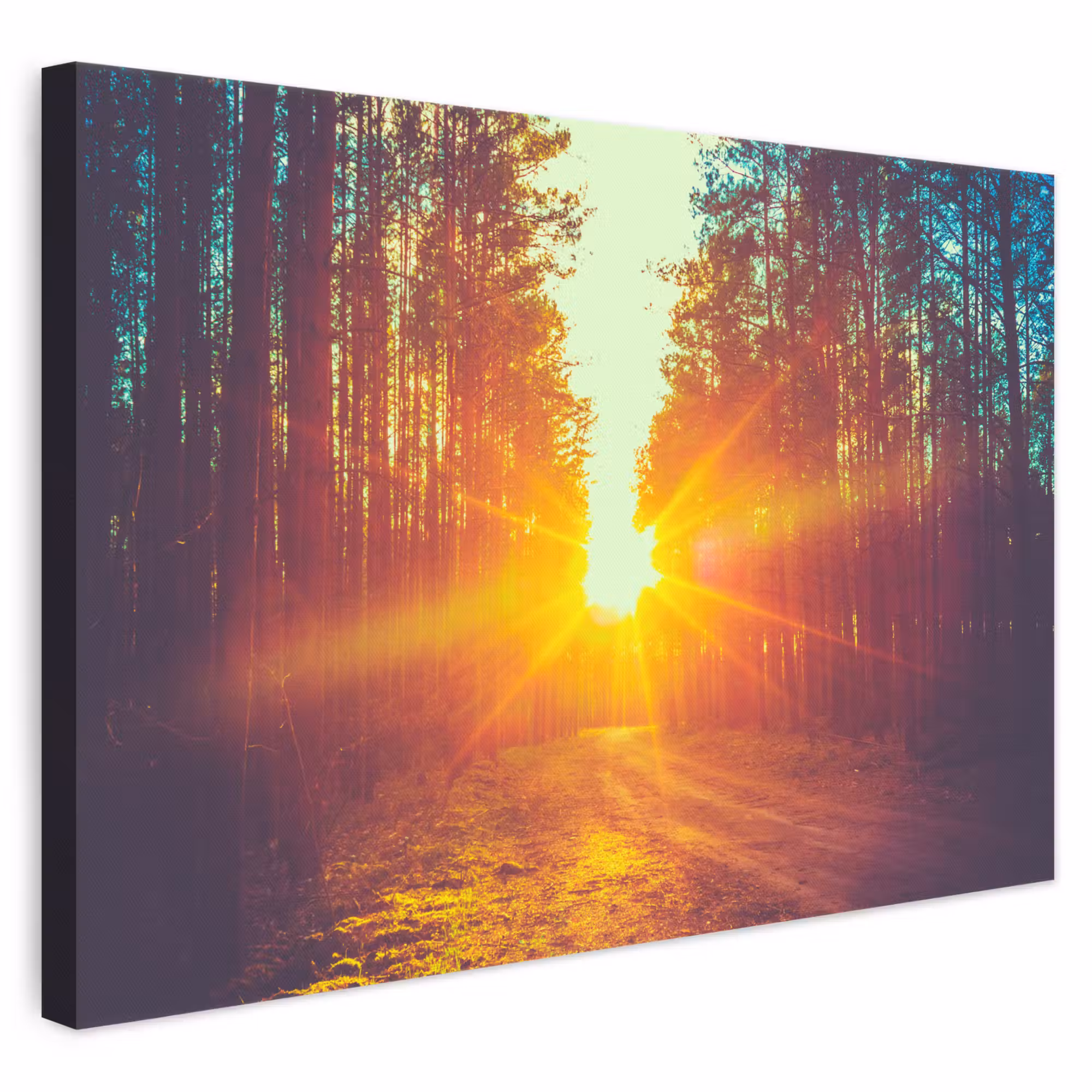 Canvas schilderij - Zonsondergang - Bomen - Bos - Natuur
