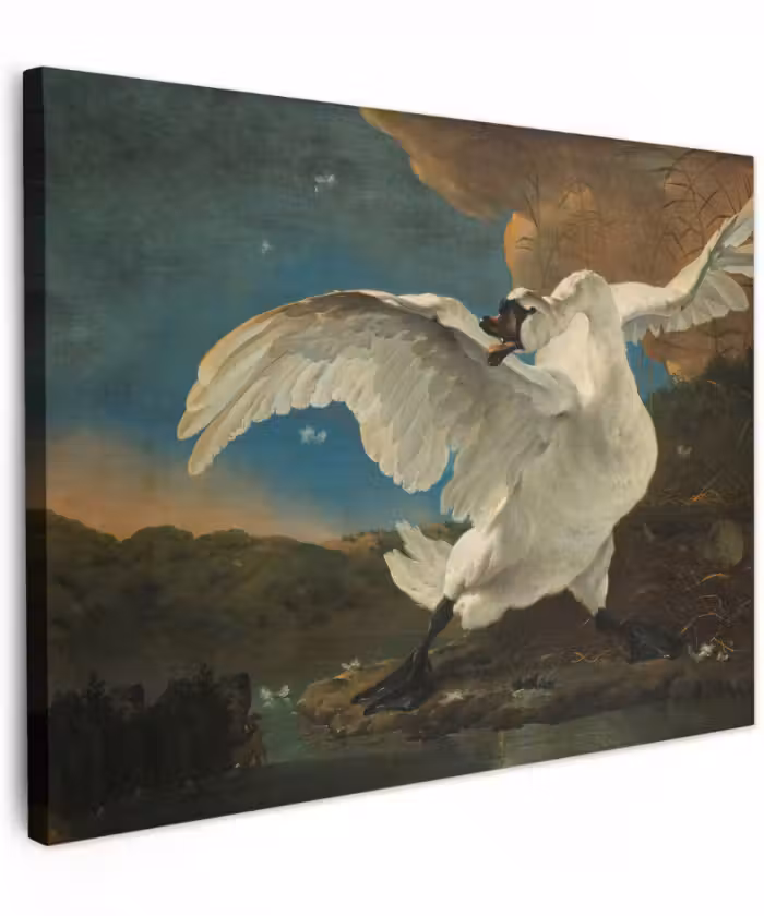 Canvas schilderij - Zwaan - Oude meesters - Jan Asselijn