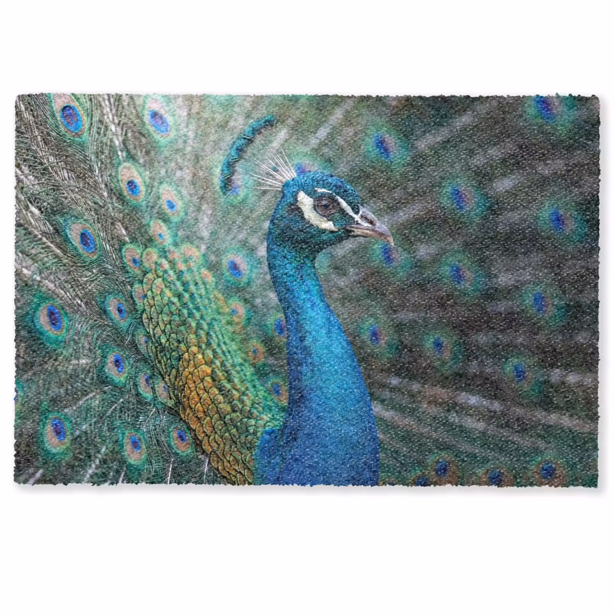 Deurmat - Pauw - Veren - Blauw