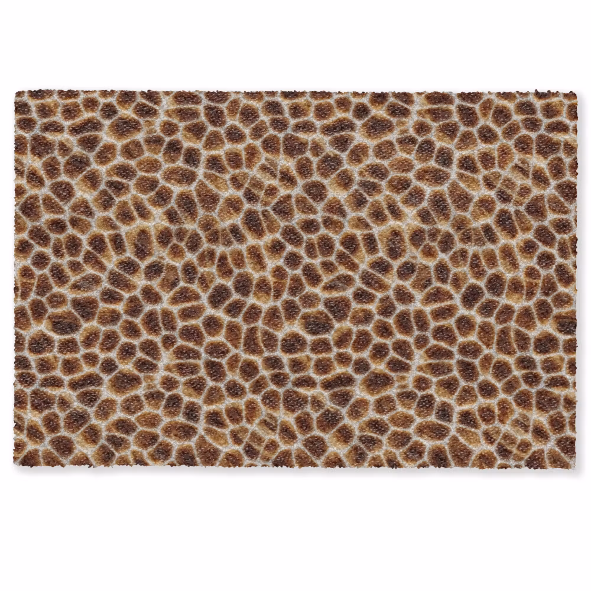 Deurmat - Schildpad - Bruin - Patroon