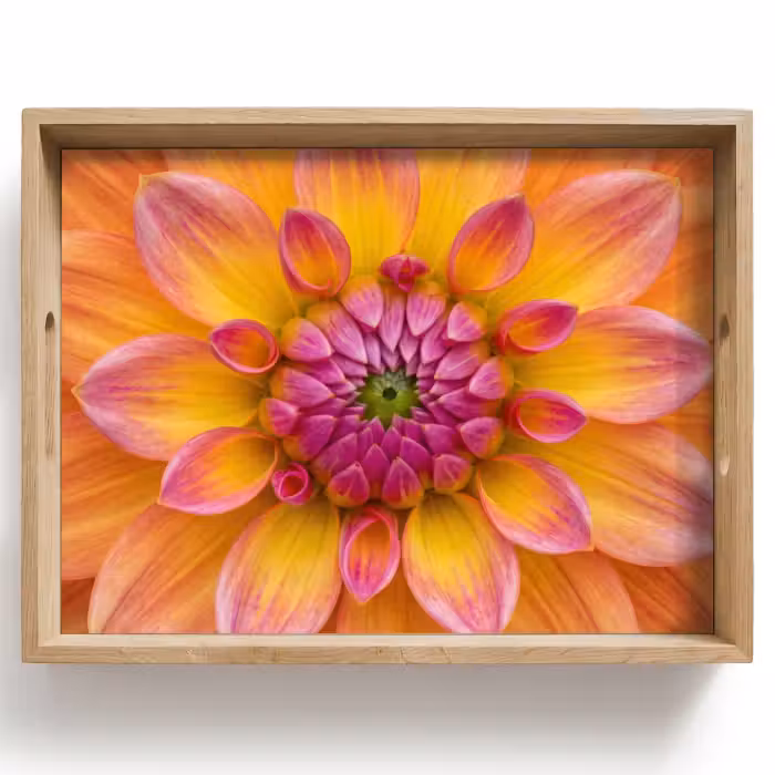 Dienblad - Dahlia - Bloem - Oranje