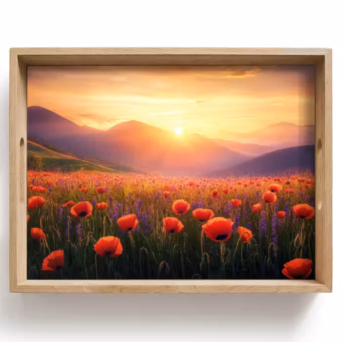 Dienblad - Landschap - Zonsondergang - Bloemenveld