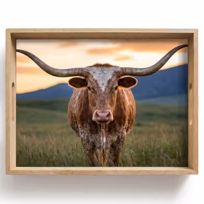 Dienblad - Longhorn - Landschap - Zonsondergang