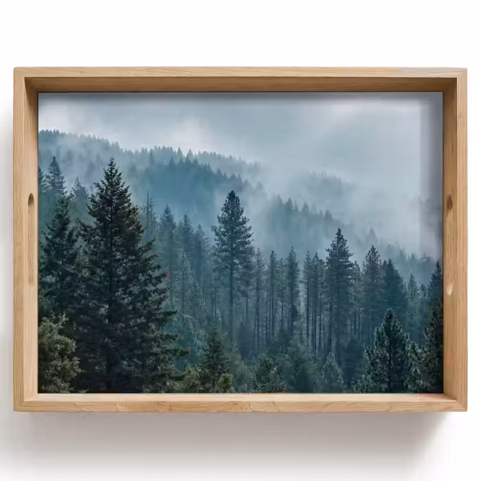 Dienblad - Naaldwoud - Bergen - Mist