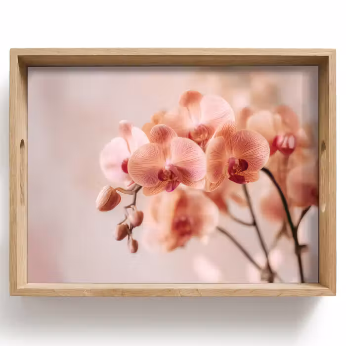 Dienblad - Orchidee - Bloemen - Roze - Bloemblaadjes