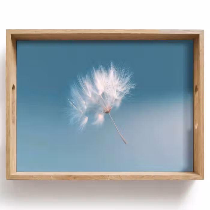 Dienblad - Paardenbloempluisje - Blauw - Lucht