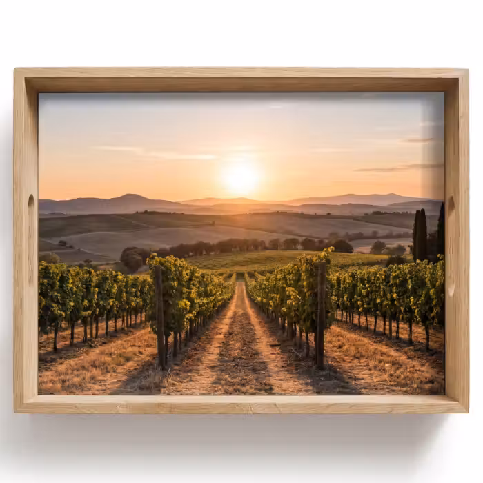 Dienblad - Wijngaard - Zonsondergang - Landschap