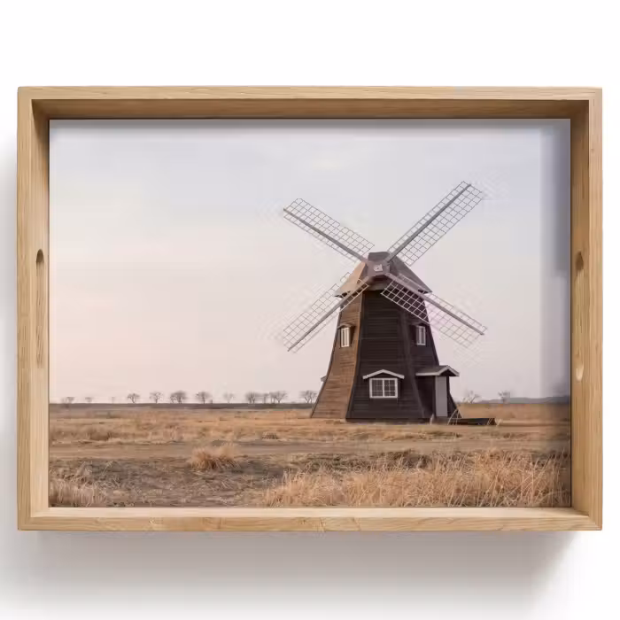 Dienblad - Windmolens - Landschap - Veld