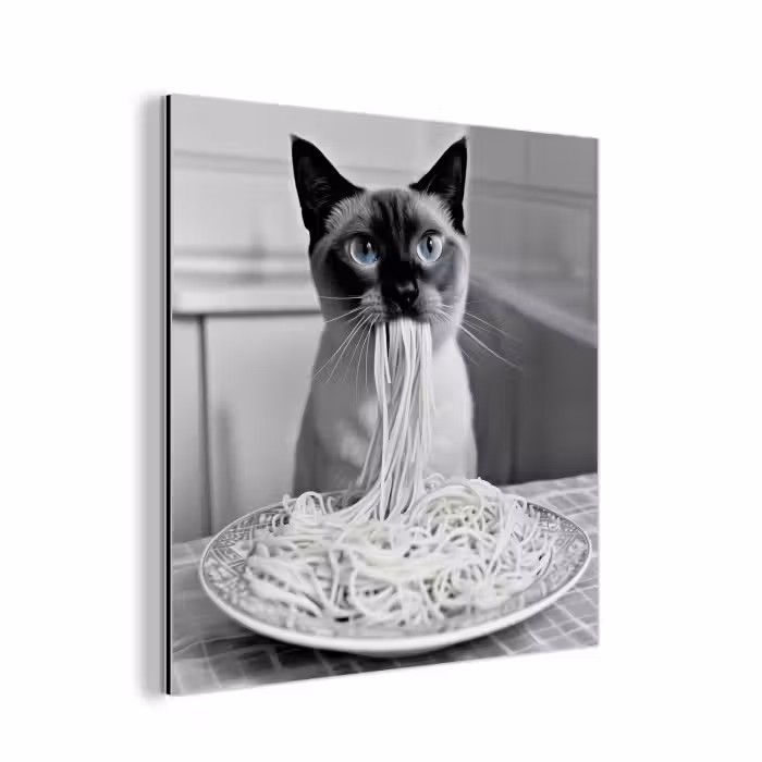 Aluminium schilderij - Kat - Siamees - Zwart Wit - Schattig - Dieren