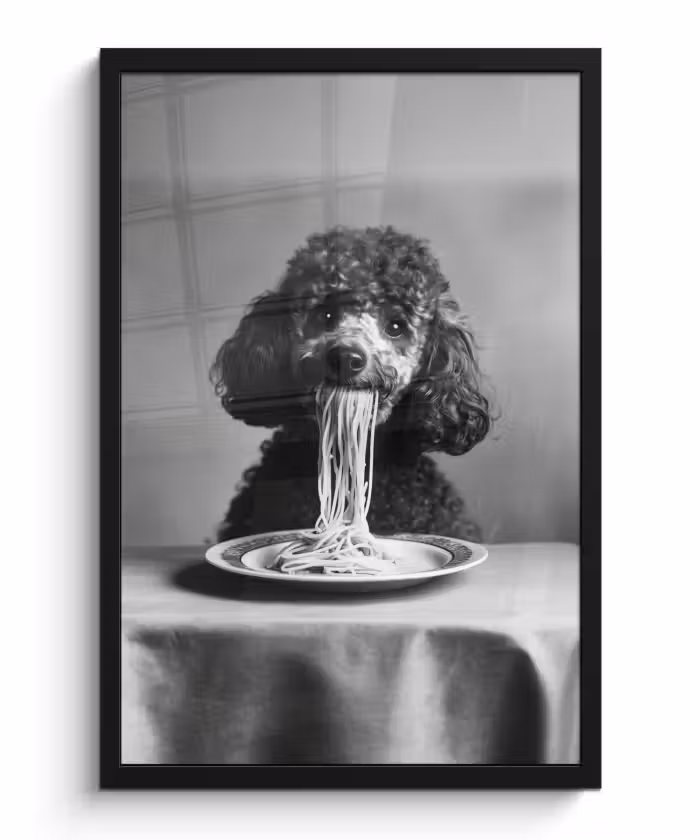 Poster met lijst - Poedel - Hond - Zwart - Wit - Schattig - Pasta