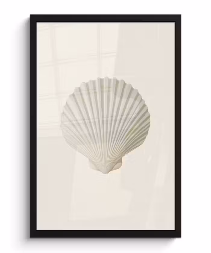 Poster met lijst - Schelp - Minimalistisch - Wit