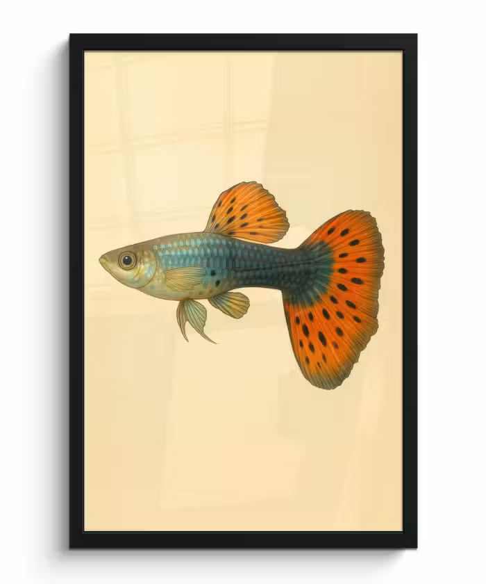 Poster met lijst - Vis - illustratie - Stippen - Oranje