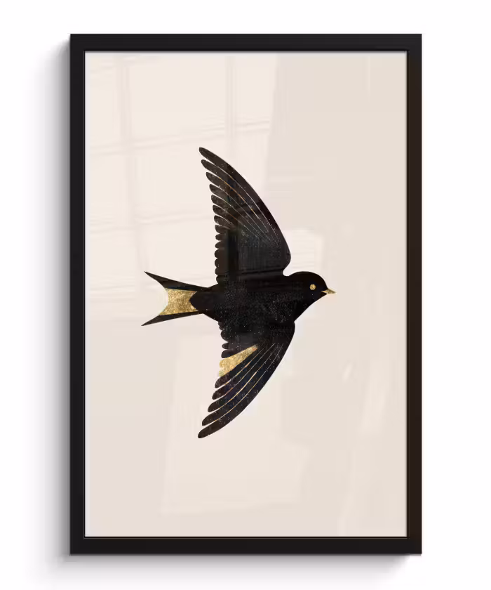 Poster met lijst - Zwarte zwaluw - Gouden accenten - Lichte achtergrond