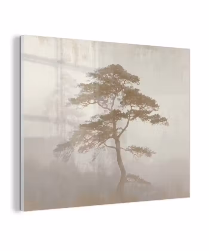 Glas schilderij - Boom - Oosterse stijl - Landschap