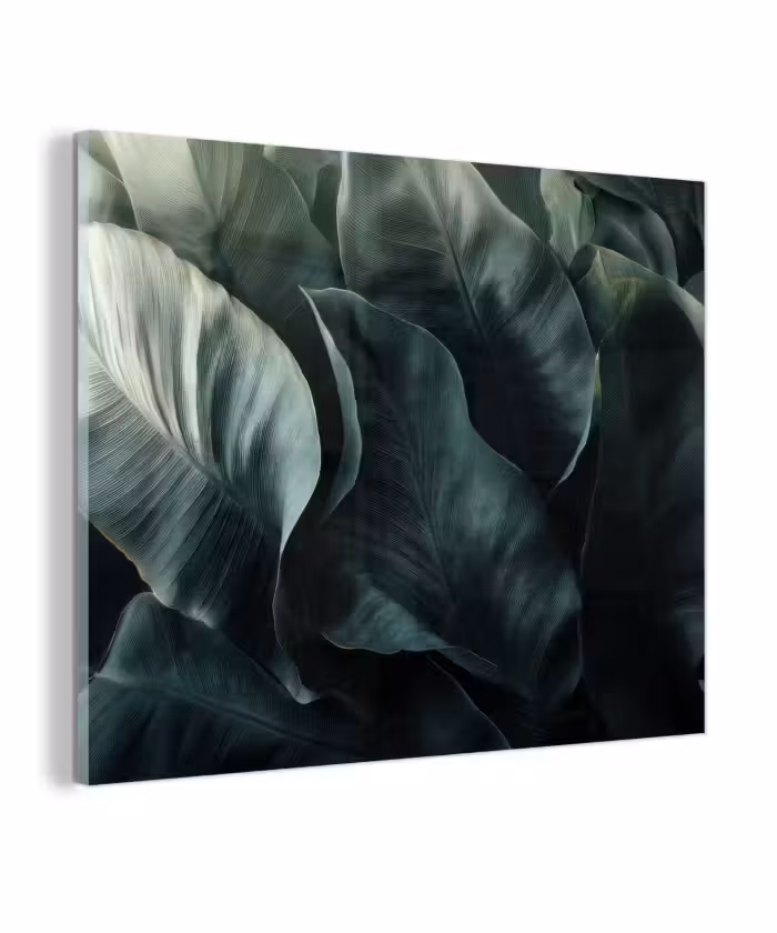 Glas schilderij - Groen - Bladeren - Glad - Nerven