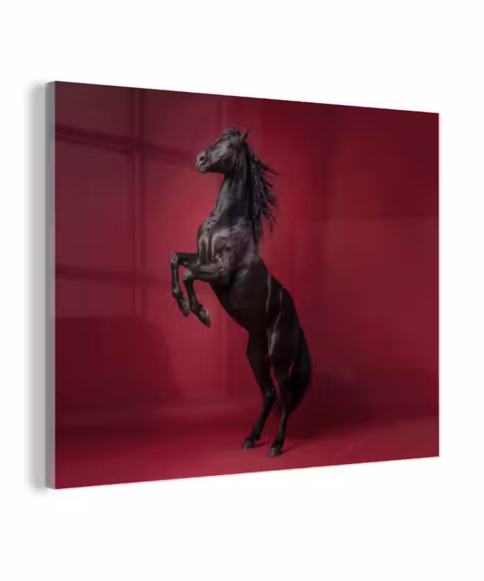 Glas schilderij - Hengst - Steigert - Rood