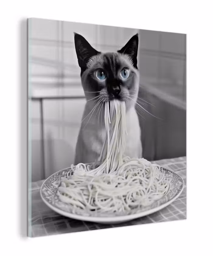 Glas schilderij - Kat - Siamees - Zwart Wit - Schattig - Dieren