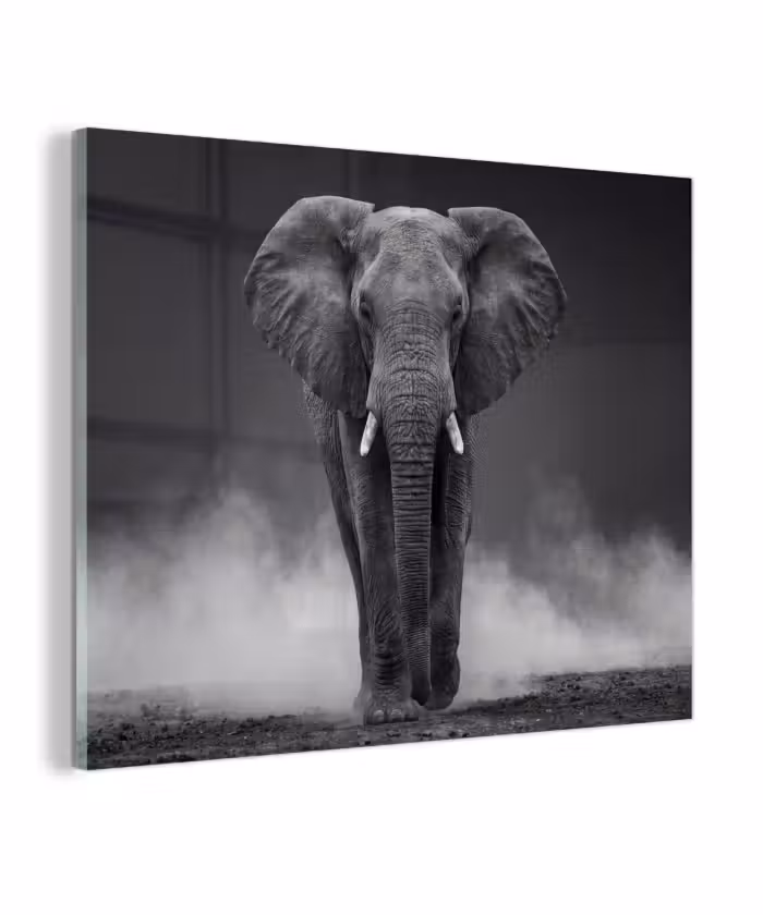 Glas schilderij - Olifant - Zwart - Wit - Rook