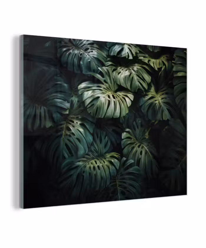 Glas schilderij - Plant - Monstera - Lichtinval