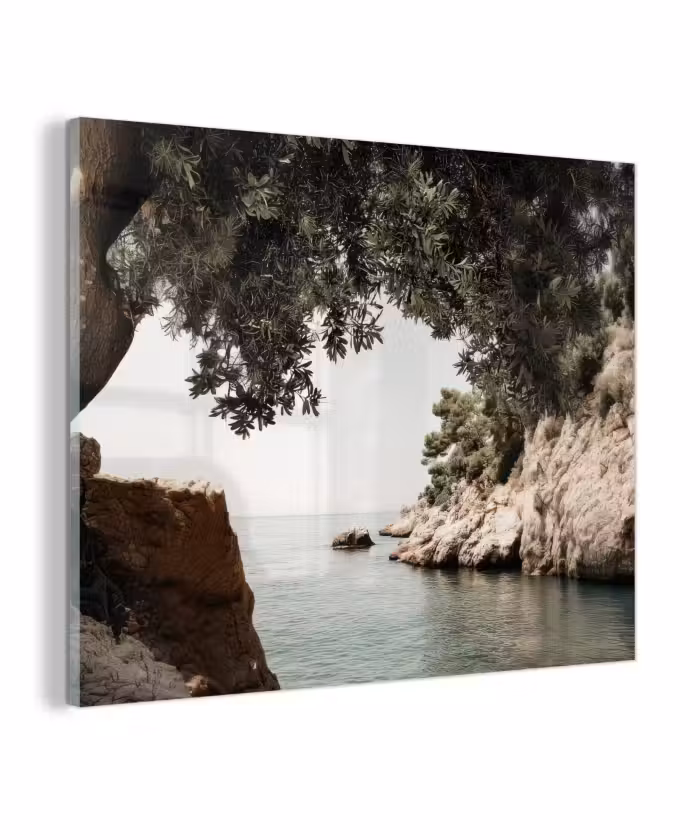 Glas schilderij - Rotsen - Zee - Boom - Groen