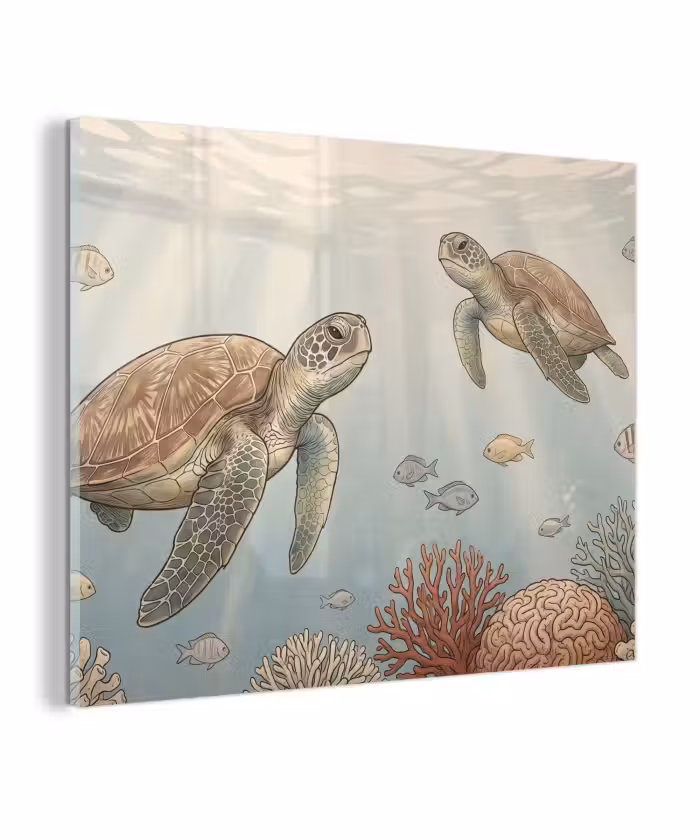 Glas schilderij - Schildpad - Onderwater - Natuur - Illustratie