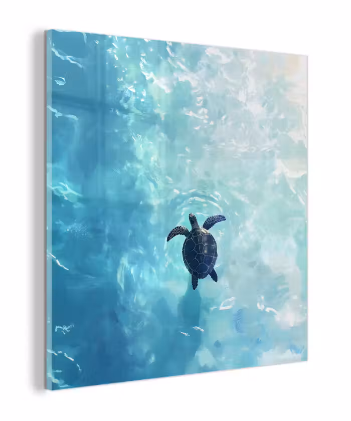 Glas schilderij - Schildpad - Zee - Blauw - Schittering