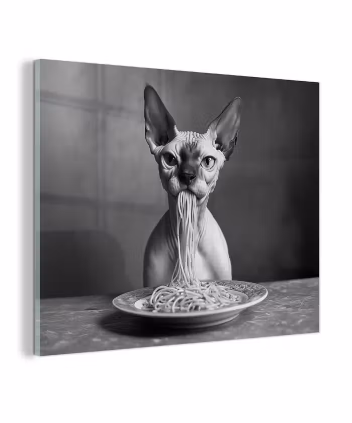 Glas schilderij - Sphynx - Kat - Dieren - Humor - Spaghetti - Zwart Wit