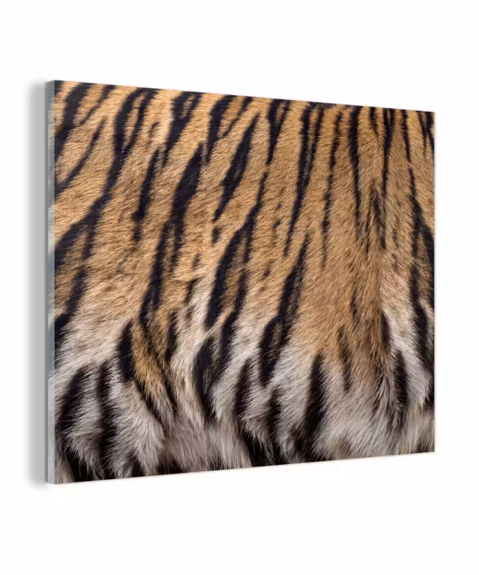 Glas schilderij - Tijgervacht - Klassiek - Zwart