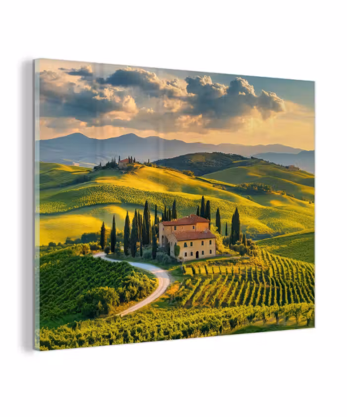 Glas schilderij - Toscane - Landschap - Wijngaarden
