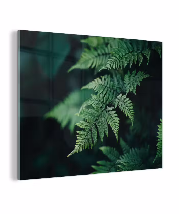 Glas schilderij - Varenblad - Groen - Structuur - Wazig