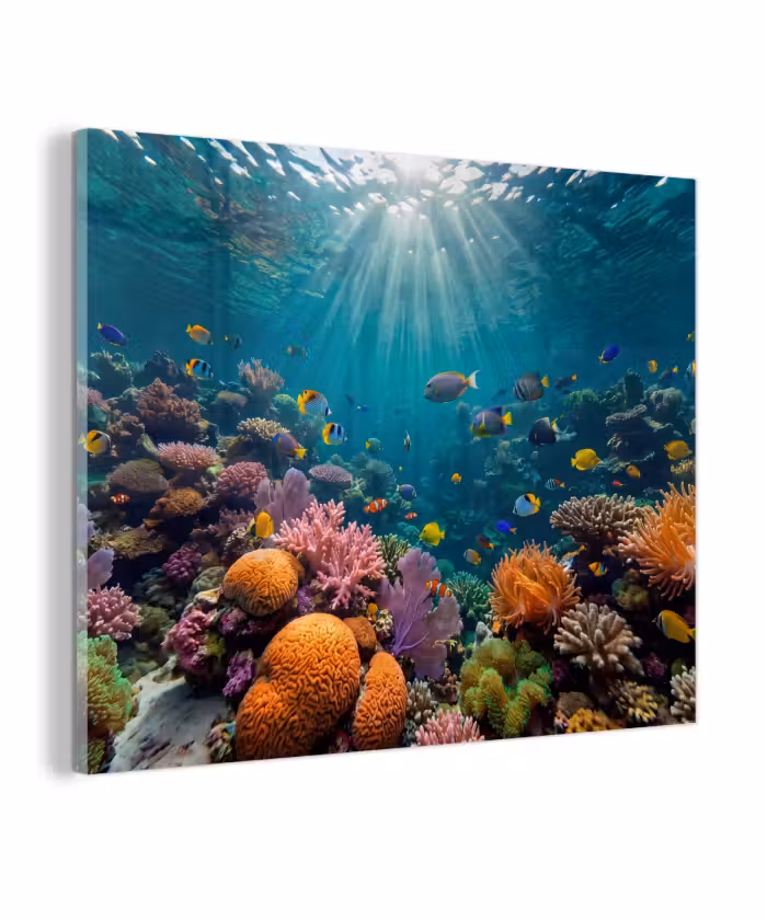 Glas schilderij - Vis - Koraal - Oceaan - Natuur - Kleurrijk