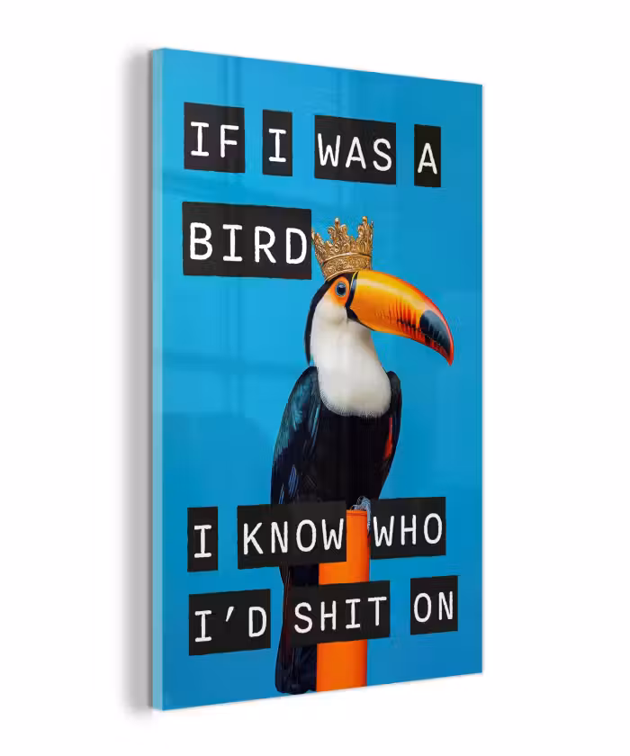 Glas schilderij - Vogel - Toekan - Blauw - Quotes