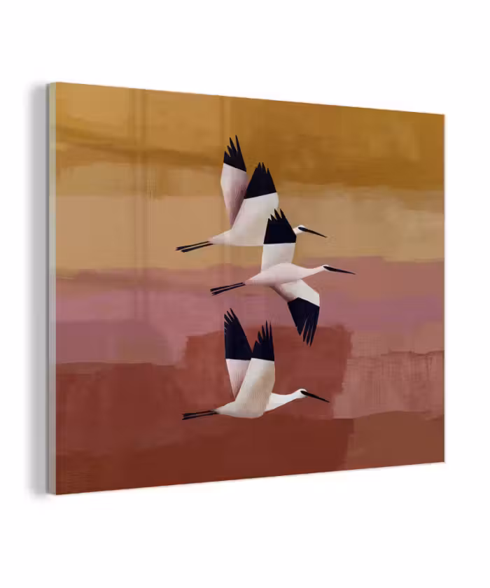Glas schilderij - Vogels - Snavel - Abstract