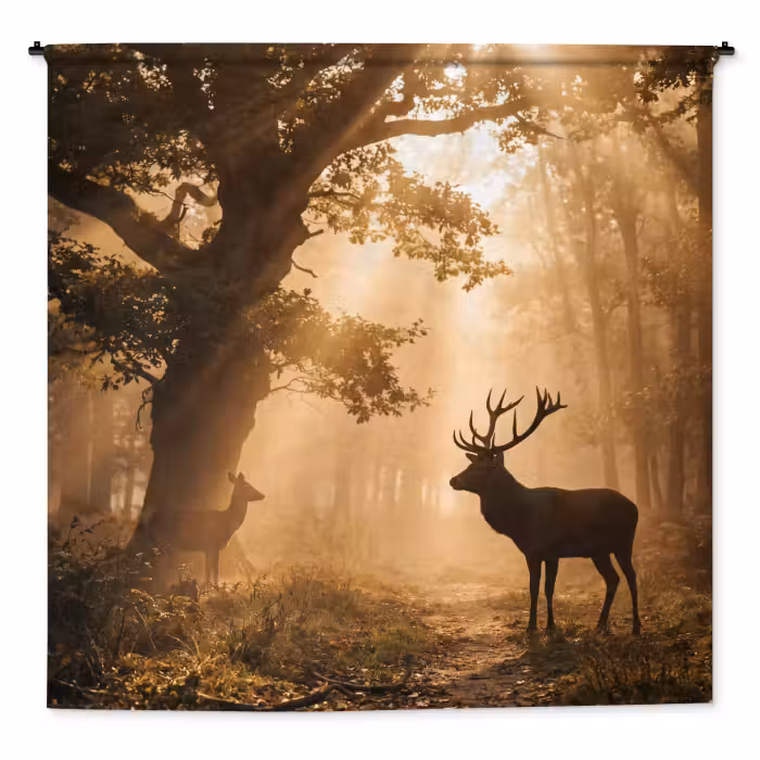 Wandkleed - Hert - Bos - Mistig - Natuur - Goud
