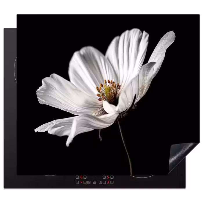 Inductie beschermer - Bloem - Zwart - Wit